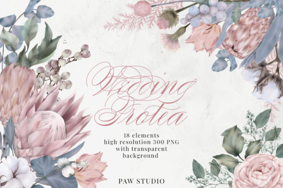 Wedding Protea Cotton Flowers Clipart: A Versatile Resource for Creative Projects